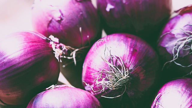 Překlad: preparation  – Anglicko-Český Překladač