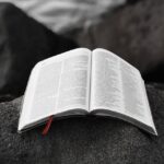 Význam slova: anything  – Anglicko Český Překladač