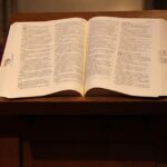 Překlad: freshmen  – Anglicko-Český Slovník