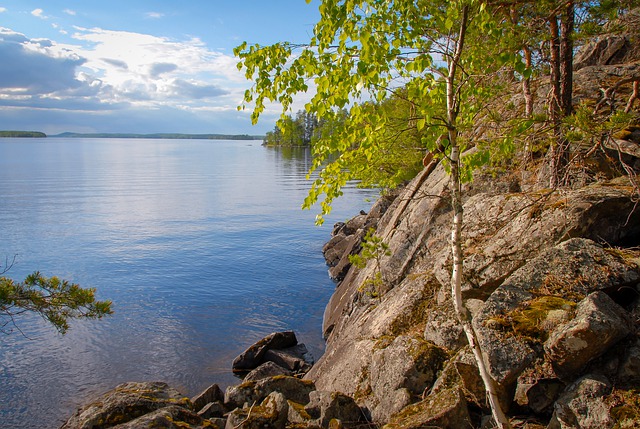 Překlad: pike  – Anglicko-Český Slovník