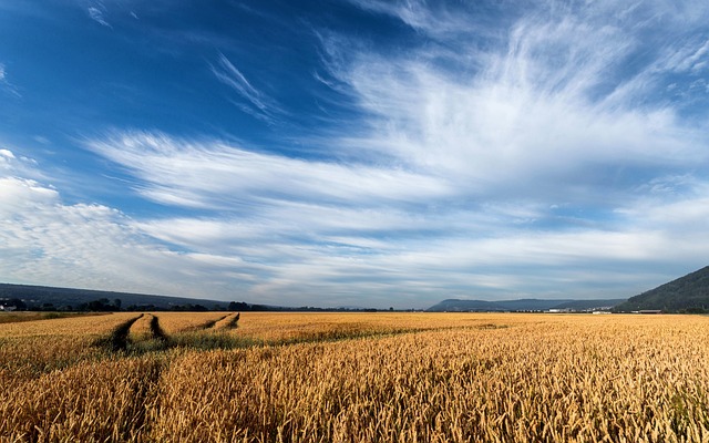 Jak využít anglicko-český překladač Grain ke zlepšení svých překladů