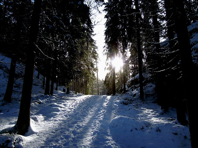 Naučte se význam a správné použití fráze en route