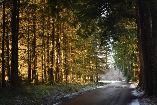 Slovníková definice slova solstice v angličtině