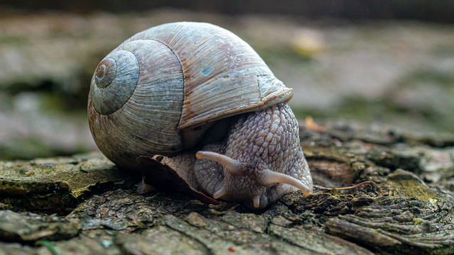 Slag - význam tohoto anglického termínu v kontextu