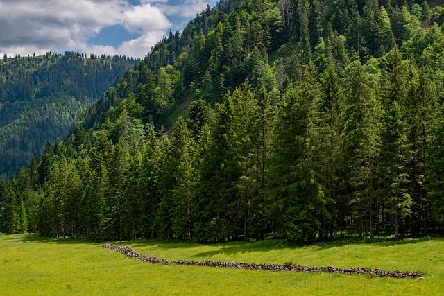 3. Nejčastěji ​užívané termíny⁢ v drywallovém světě: anglicko-český slovník