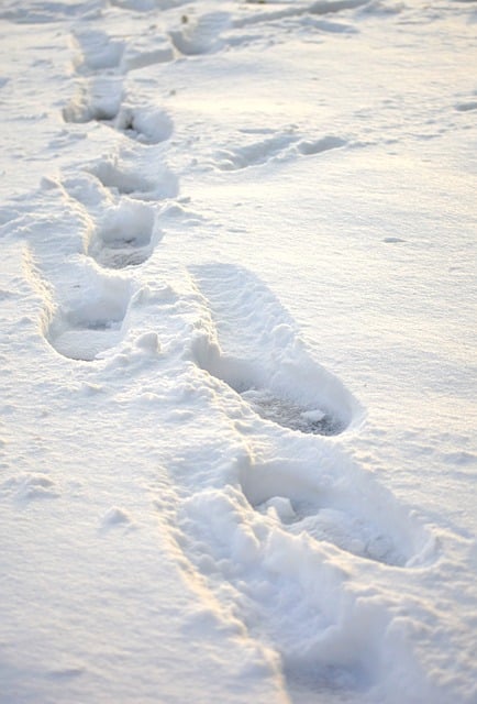 4. Nejlepší způsoby, jak využít footprint – Anglicko Český překladač