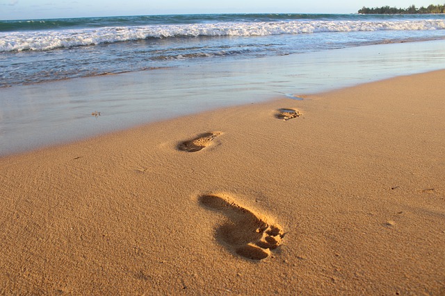 1. Vše, co potřebujete vědět o footprint – Anglicko Český překladač