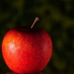 Překlad“ organise „