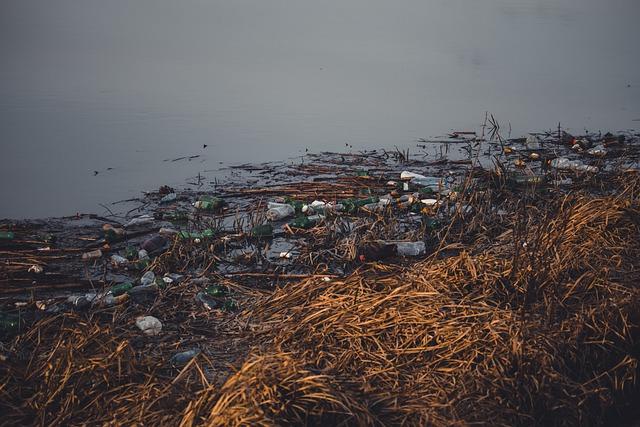 Překlad: dump  – Anglicko-Český Překladač