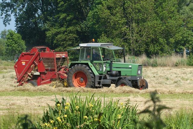 Překlad: raper  – Anglicko-Český Slovník