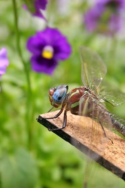 Překlad: beneficial  – Anglicko-Český Slovník