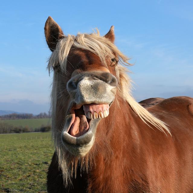 Proč je důležité mít správné dentury?