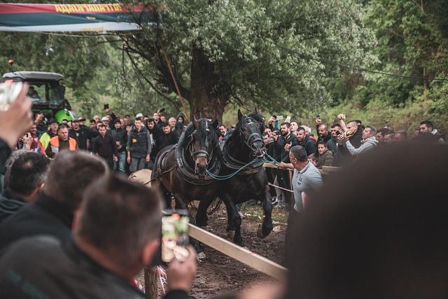 - Jak se stát⁢ lídrem​ na trhu díky⁢ efektivnímu ⁣využití konkurence‌ a překladových nástrojů