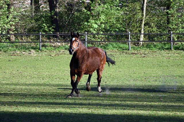 4. Získejte důvěryhodné a ⁢spolehlivé ​překlady anglických výrazů s překladačem run