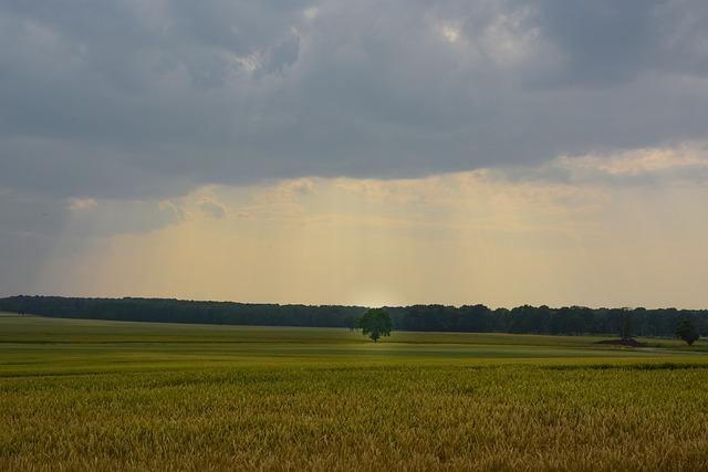 Překlad: far  – Anglicko-Český Slovník