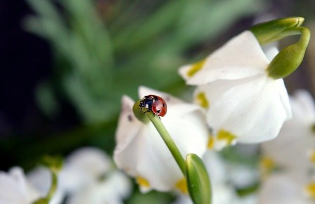 Překlad: lucky  – Anglicko Český Slovník