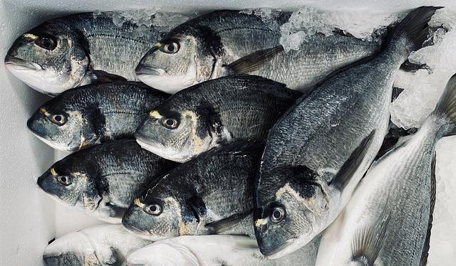 Překlad: sea bream  – Anglicko-Český Slovník