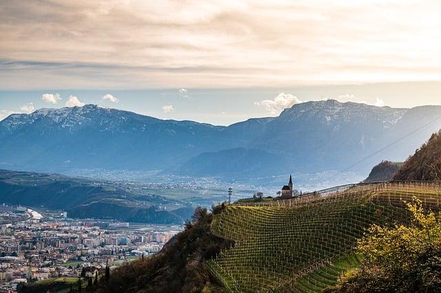 Jak správně přeložit vineyard do češtiny?