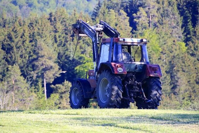 - Nejlepší způsoby, jak získat český překlad lorry do angličtiny