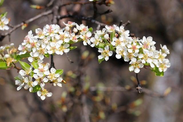 Překlad: happy easter  – Anglicko Český Překladač