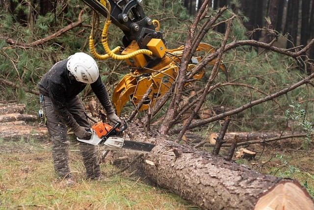 Význam Slova“ worker “ Anglicko Český Překladač