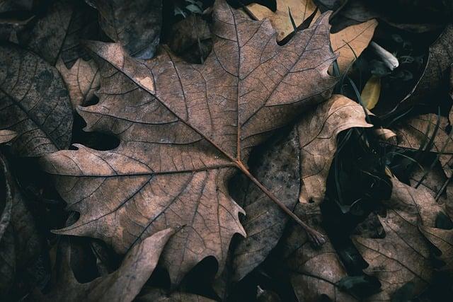 Překlad: veins  – Anglicko Český Slovník