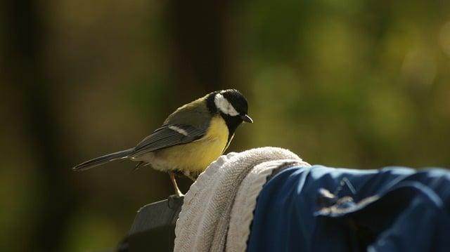 4. Jak se liší různé překlady slova 