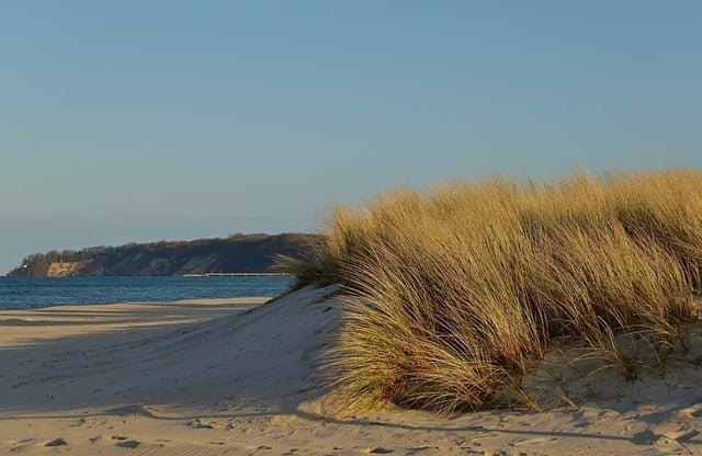 Význam slova „sand“ v angličtině a jeho český ekvivalent