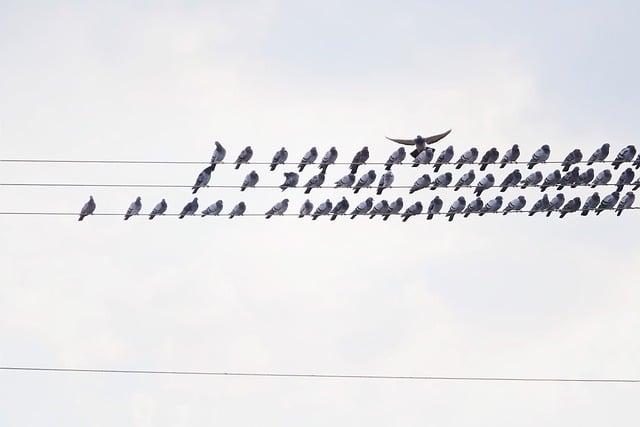 -⁣ Jak se vyhnout nesprávným ​překladům