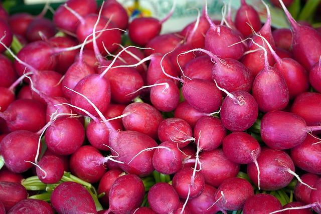 Proč byste měli začít používat radish ve svém obsahu