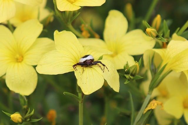 Překlad: yellow  – Anglicko-Český Překladač