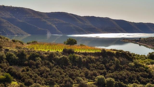 - Jak efektivně používat vinery při optimalizaci vašich webových stránek