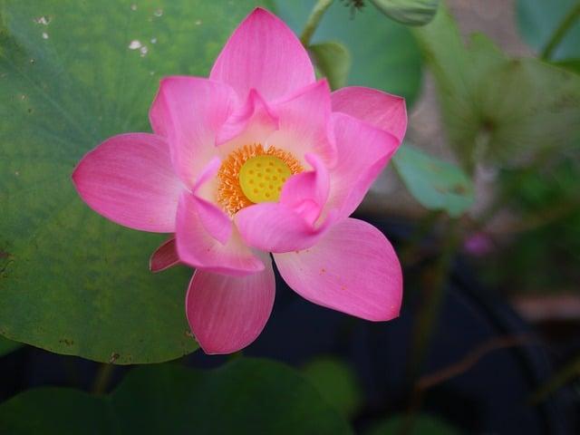 Význam Slova" spin off " Anglicko Český Překladač 4 Význam Slova“ spin off “ Anglicko Český Překladač