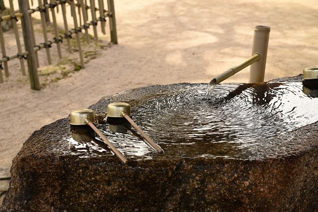 Překlad: ladle  – Anglicko Český Překladač