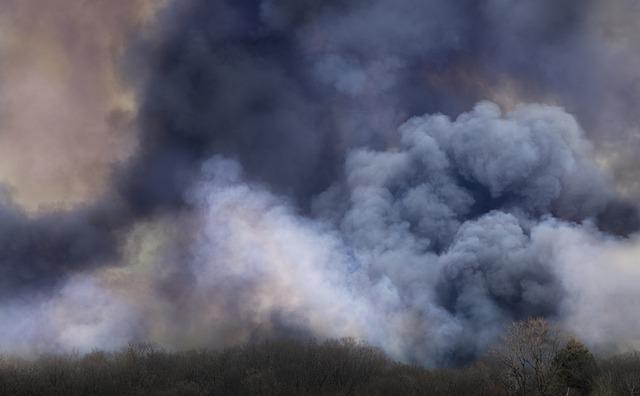 Význam slova „smokiness“ ve vztahu k chuti a vůni potravin