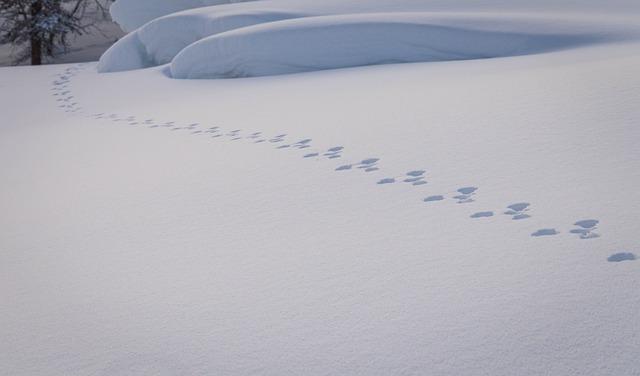 Překlad“ footsteps „