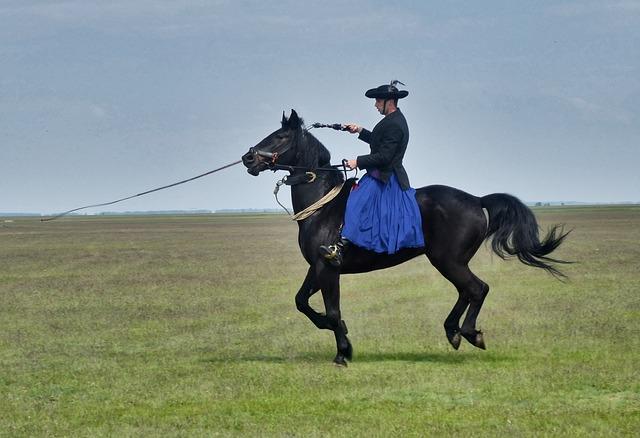 Význam slova: hun  – Anglicko-Český Překladač