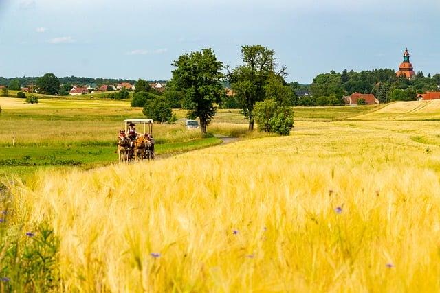 Překlad: carriage  – Anglicko Český Překladač