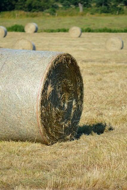 Překlad: straws  – Anglicko-Český Překladač