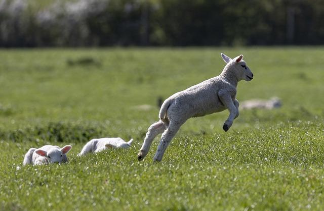 Co je bounce rate a jak ovlivňuje SEO?