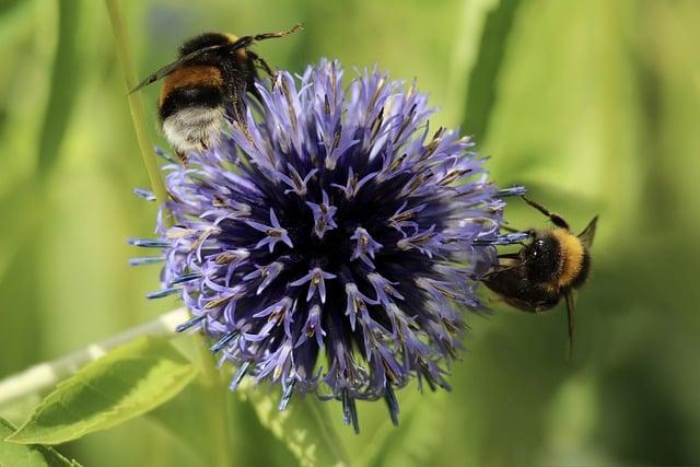 3. Nejlepší způsoby, jak správně přeložit 