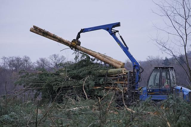 Proč je důležité správně přeložit termín 