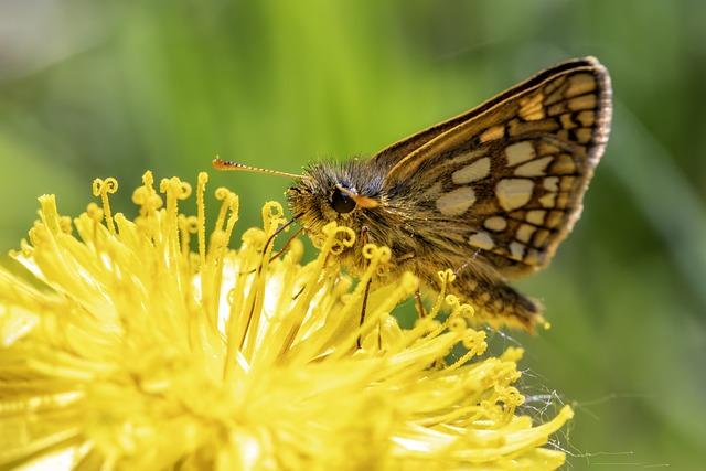 - Nejlepší tipy pro správné použití Checkru ve vašich textech