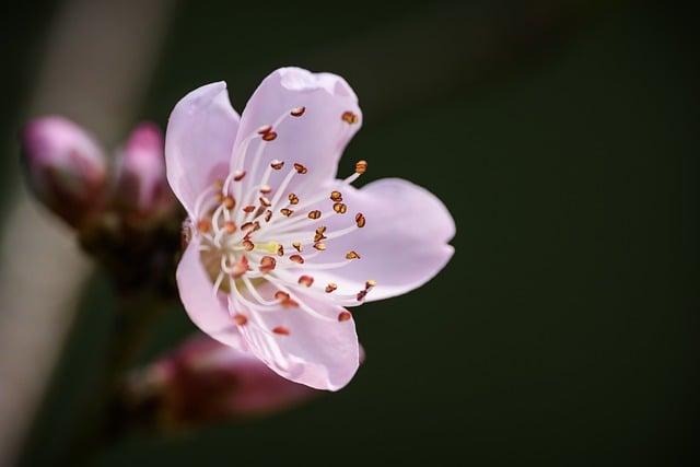 Co Znamená hold up ? Anglicko Český Překladač 5 Tipy a triky pro lepší výsledky s anglicko-českým překladem