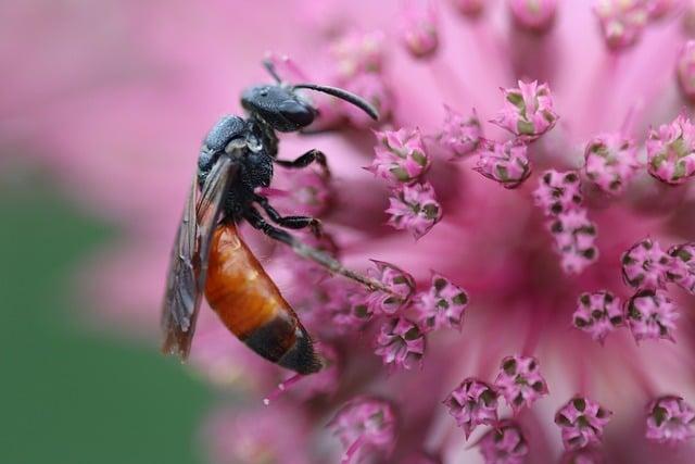 Co Znamená hold up ? Anglicko Český Překladač 4 Proč by měl být hold up součástí vaší SEO strategie?
