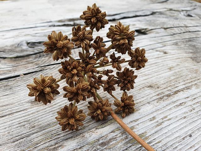 Chytré tipy pro optimalizaci článků s výrazem 