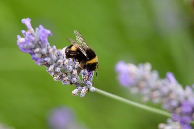 4. Jak vybrat správný překlad pro váš obsah v anglicko-českém překladači